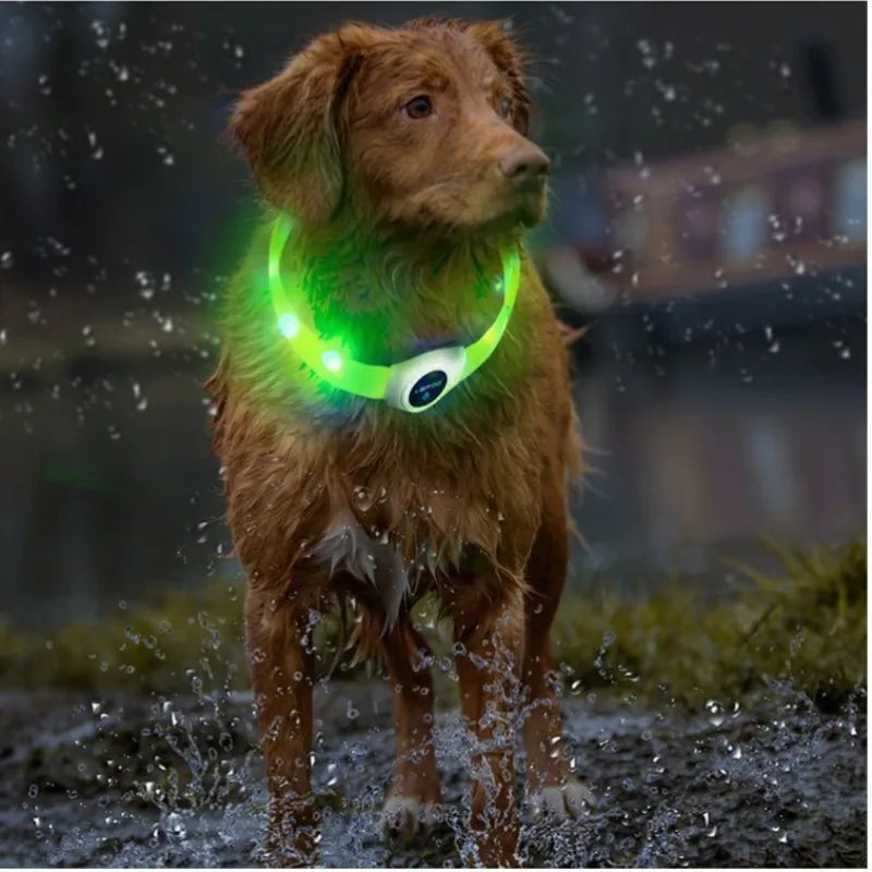 LED Luminous Waterproof Collar