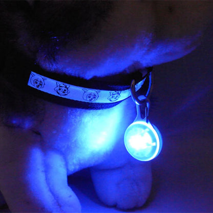 LED Glowing Pendant Collar