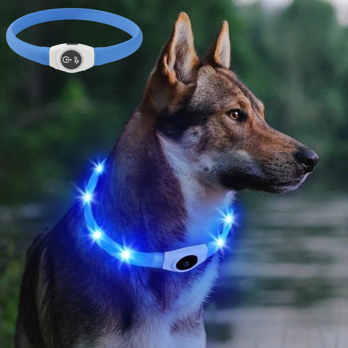 LED Luminous Waterproof Collar