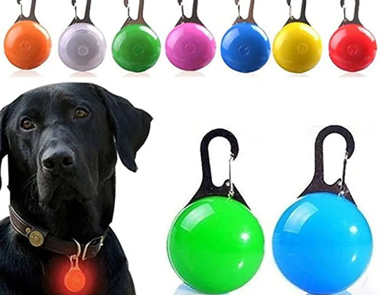 LED Glowing Pendant Collar