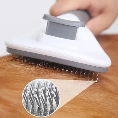 Self-Cleaning Brush-Comb