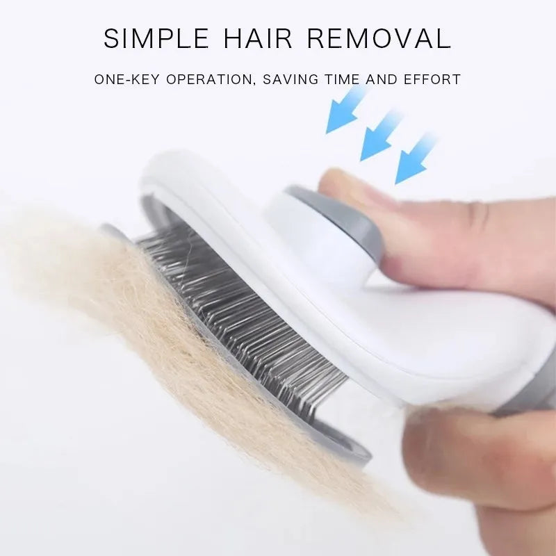 Self-Cleaning Brush-Comb