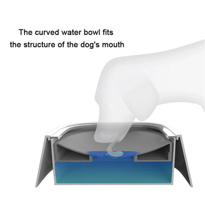 Floating No-Spill Water Bowl