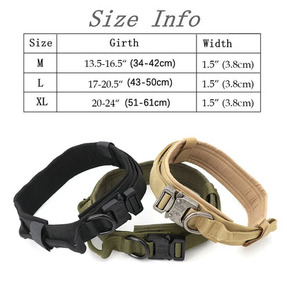 Large Dog Harness Leash Set