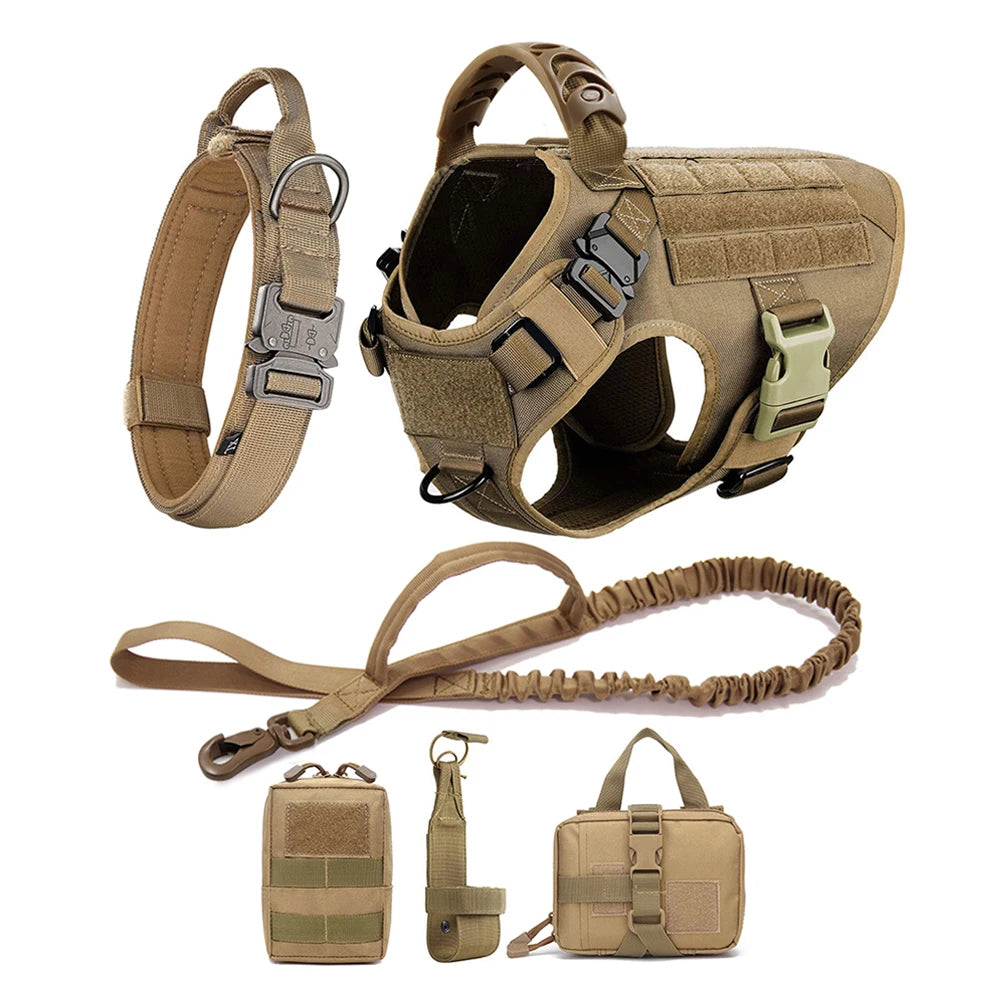 Large Dog Harness Leash Set