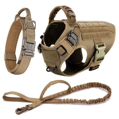 Large Dog Harness Leash Set