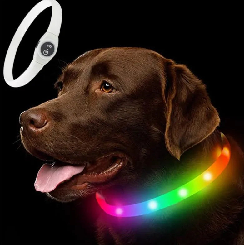 LED Luminous Waterproof Collar