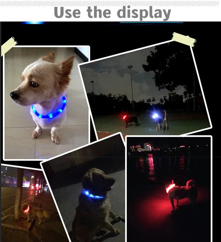 LED Luminous Waterproof Collar